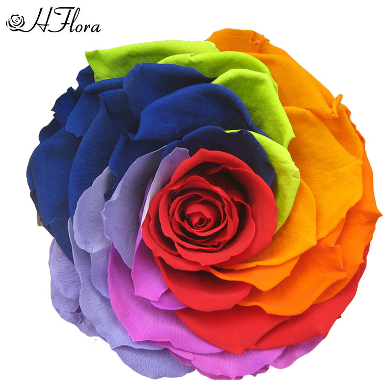 9-10cm七彩玫瑰花头1朵一盒diy永生花礼盒材料云南保鲜花厂家批发