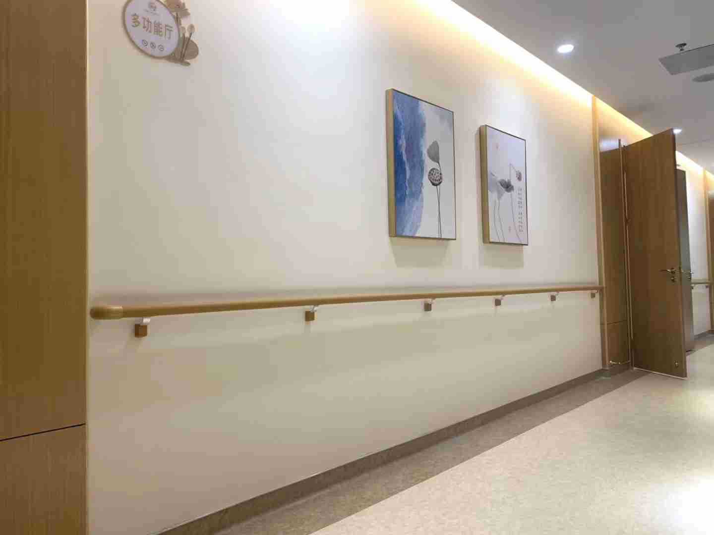 医疗养老院扶手酒店过道走廊楼梯安全扶手卫浴扶手