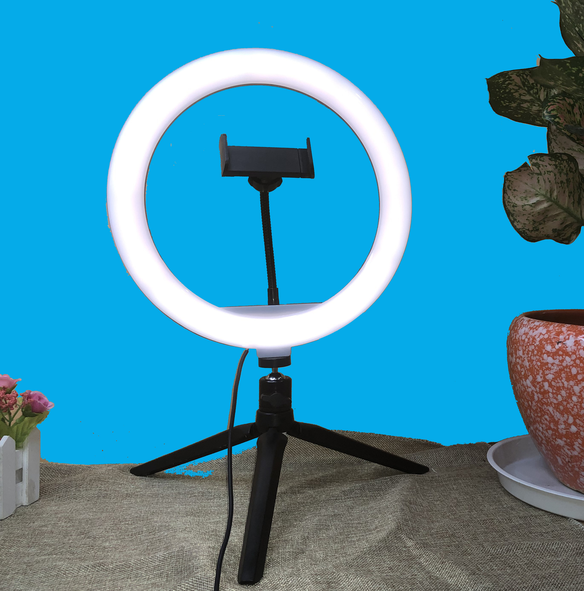 10寸美颜网红直播补光灯 自拍视频化妆环形灯 柔光三色补光灯套装