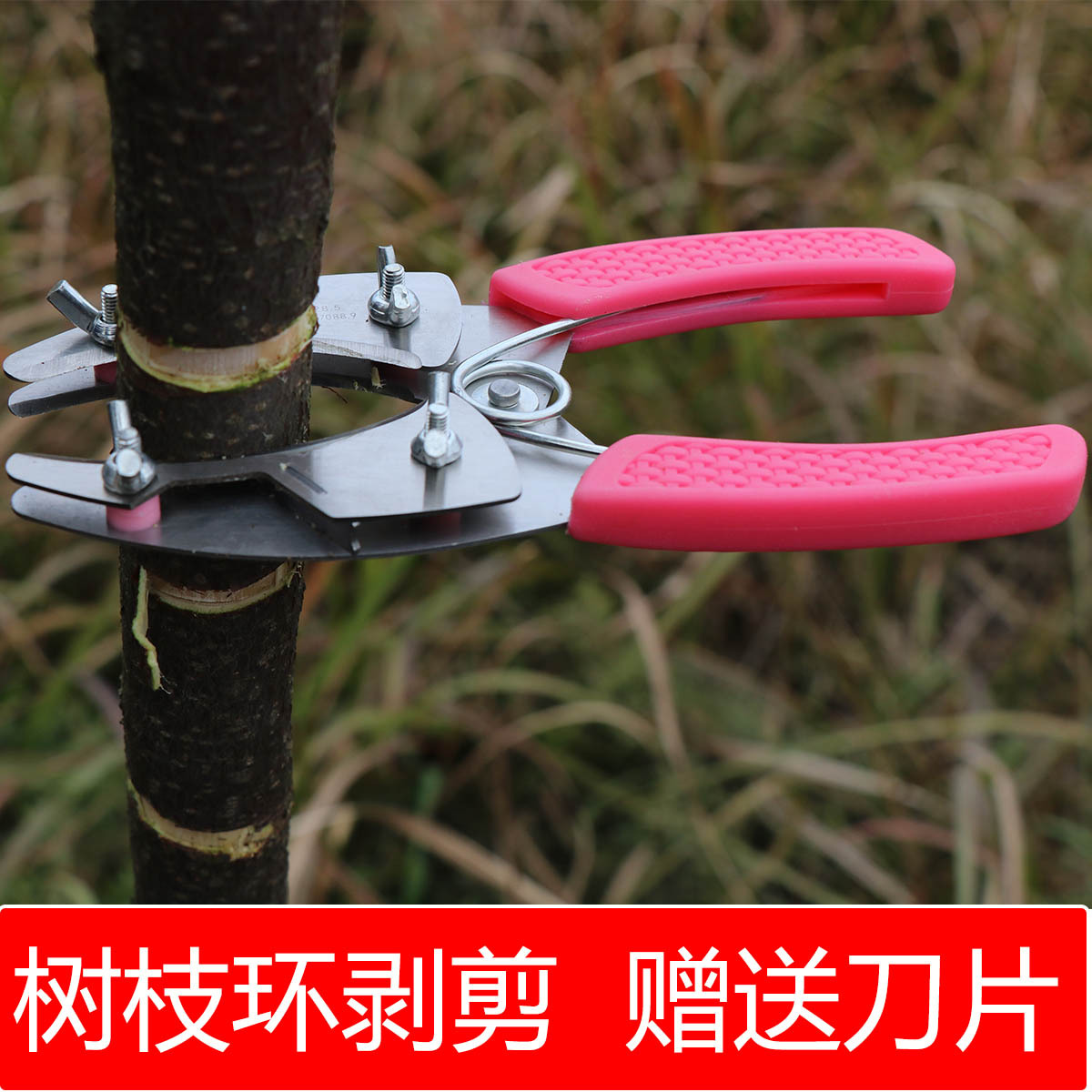 新型果树葡萄荔枝环切环剥剪剥皮剪环剥钳枣树环割刀割树皮剥树皮