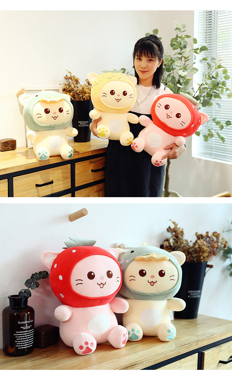 卡通水果猫公仔毛绒玩具猫咪玩偶睡觉抱枕娃娃可爱茶米猫生日礼物
