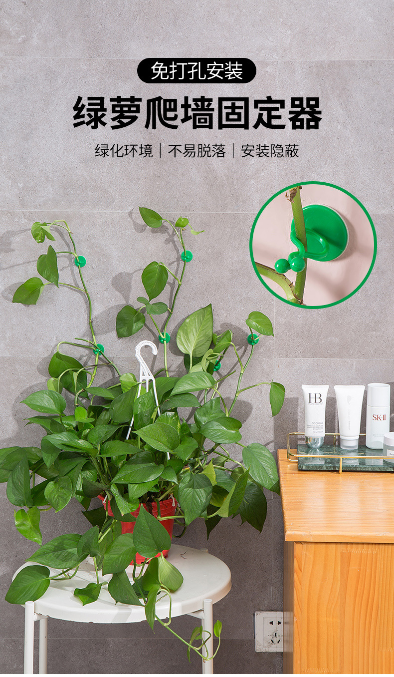 批发货源绿萝固定爬墙神器绿植无痕家用卡扣攀爬壁挂爬藤蔓植物夹