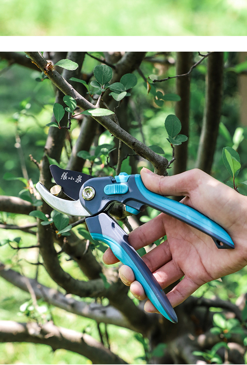 张小泉剪枝果树修枝剪刀园艺修园林省力修花枝剪家用强力剪子神器