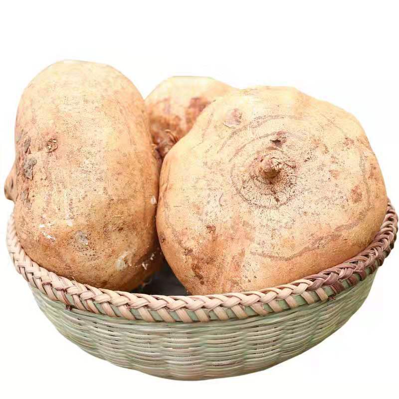 5斤包邮 云南红土白土瓜地瓜凉茹凉薯沙葛脆甜地萝卜新鲜现挖