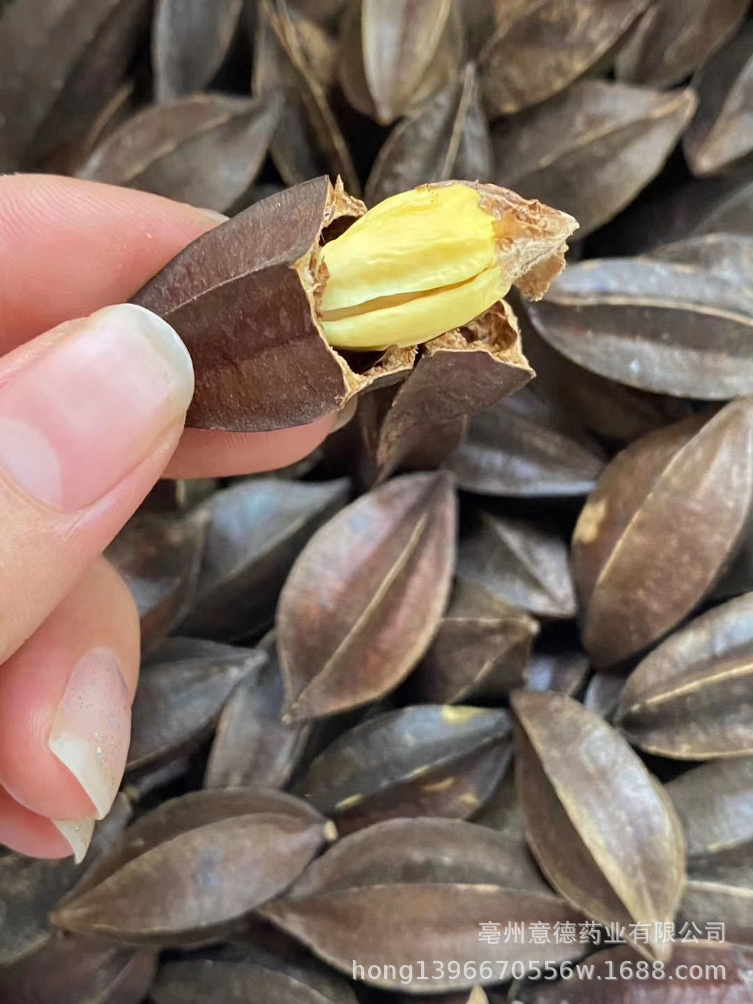 中药材批发 使君子 留球子 索子果 常年经营