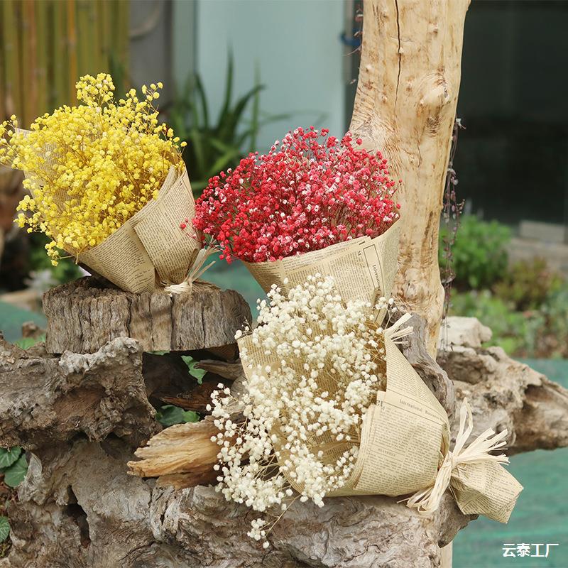 星百万干花手工花材生产满天星干花满天星材料干花专业 满天星