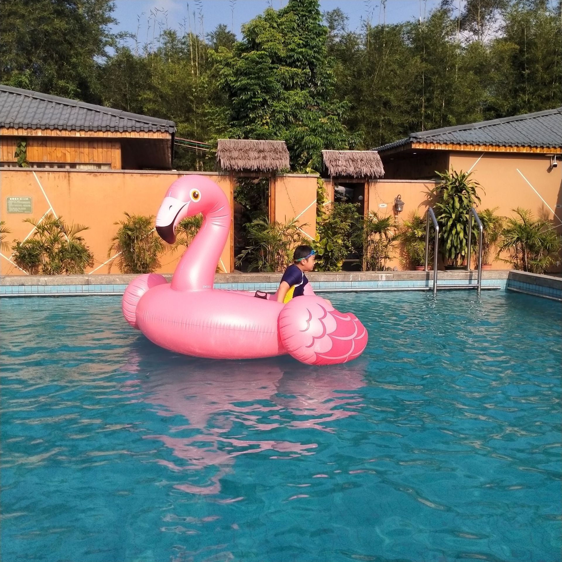 厂家定制 充气火烈鸟浮排 充气水上粉色坐骑 充气玩具