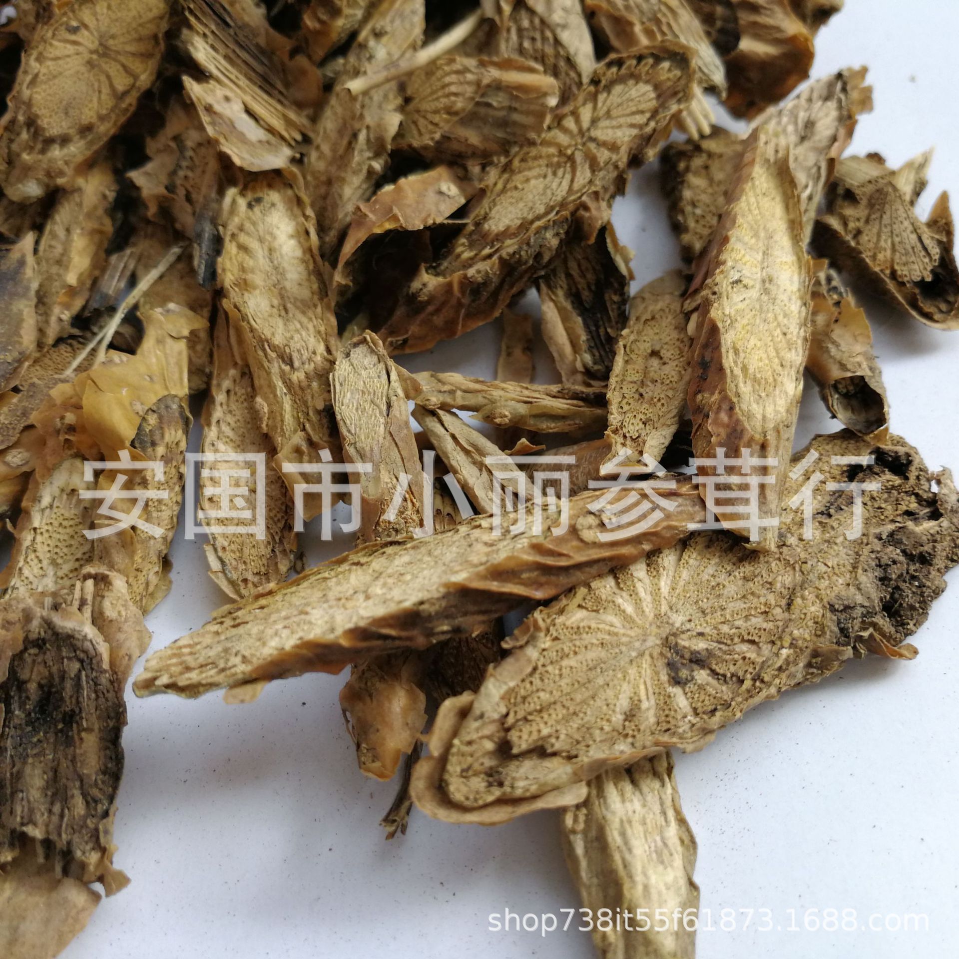 宽筋藤 万筋藤 伸筋藤红四方春根石松 过山龙 狮子毛凤尾伸筋通筋