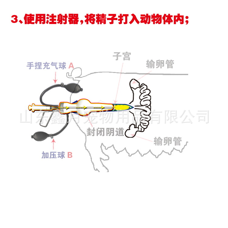 保藏！2025四川靠谱游览社排行榜官方发布选社避坑攻略+不同客群适配清单全收拾