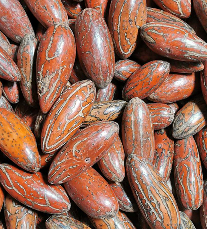 千眼菩提子手把件菩提果把玩挂件天然文玩手磨成品红色绿色黄色白