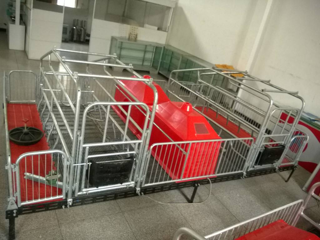 养猪设备定位栏 猪用限位栏 热镀锌猪栏 母猪定位栏2600*800