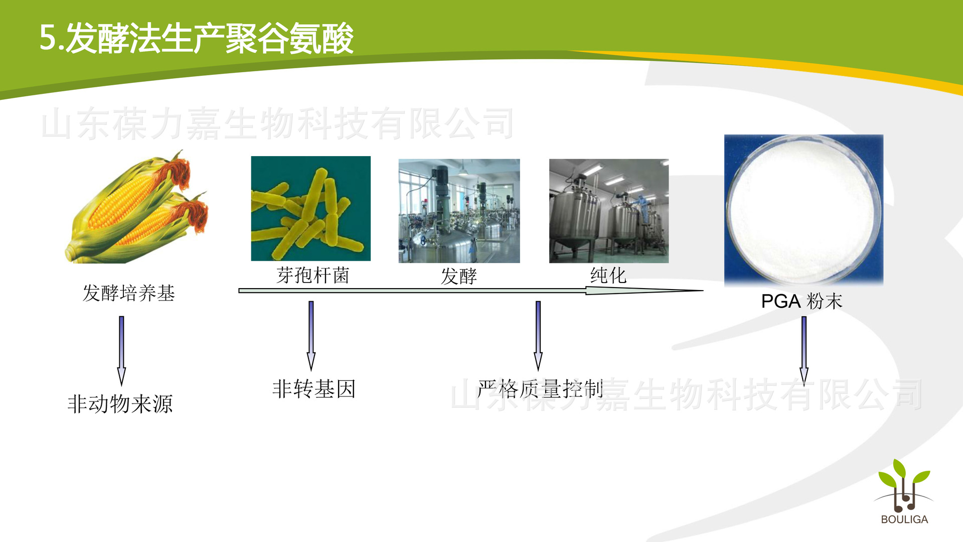 谷氨酸发酵过程图片