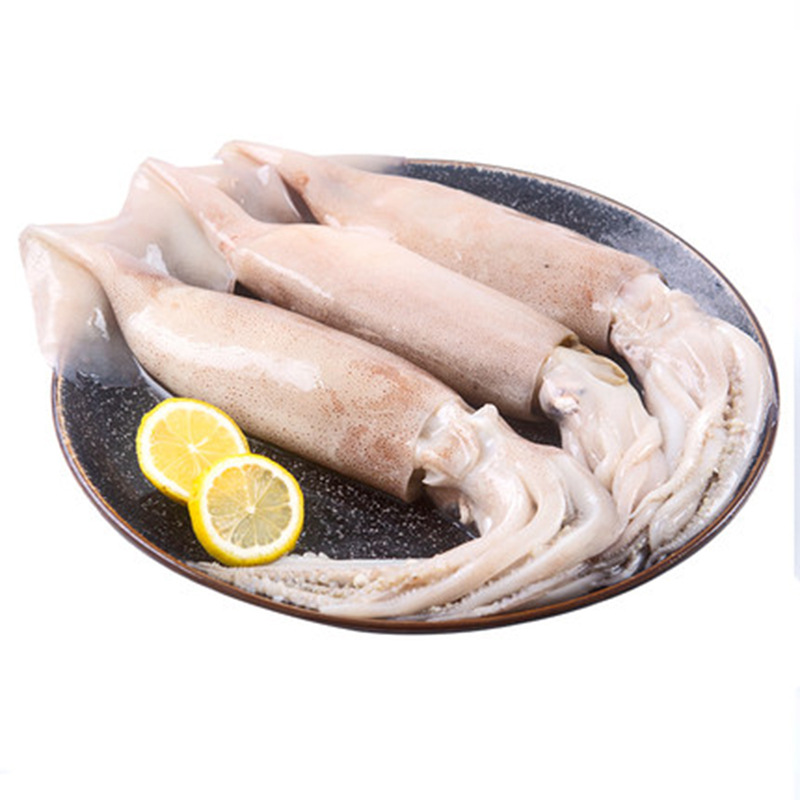 鲜冻鱿鱼整只 冷冻香辣鱿鱼须海 鲜章鱼水产海鲜鱿鱼