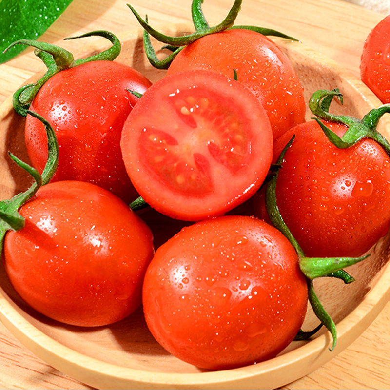 【福建圣女果】 微供3/5斤生吃小西红洋柿子番茄蔬菜千禧
