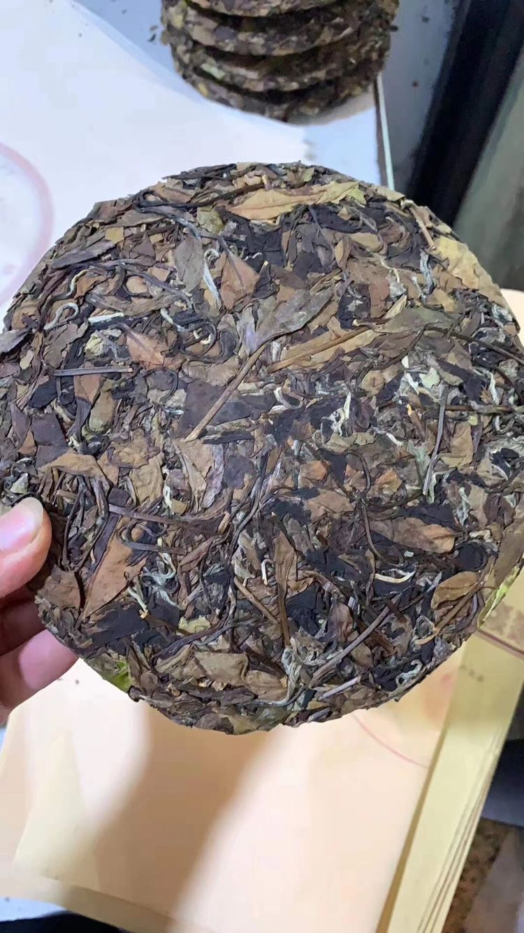 2012年高山日晒茶叶福鼎白茶 老白茶 寿眉茶饼350g 厂家批发