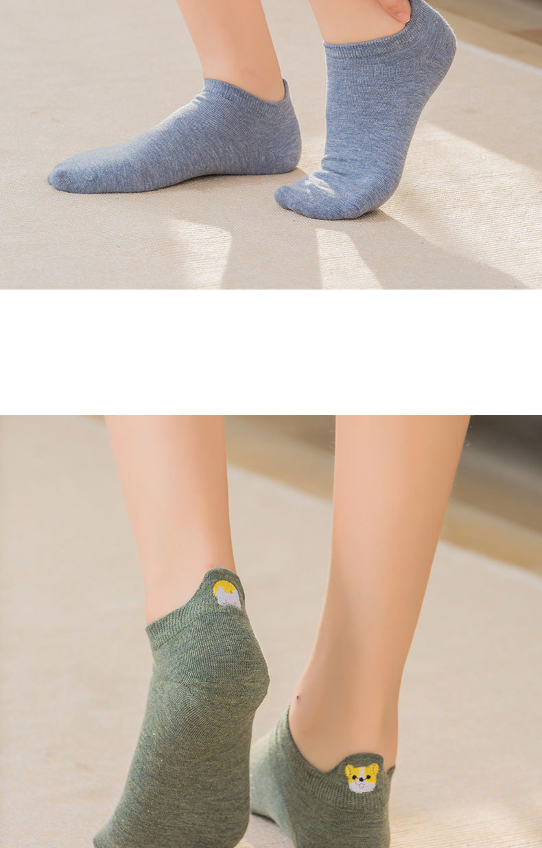 2020夏季全棉卡通船袜 后跟小兔胡萝卜短袜 可爱潮流网红刺绣女袜