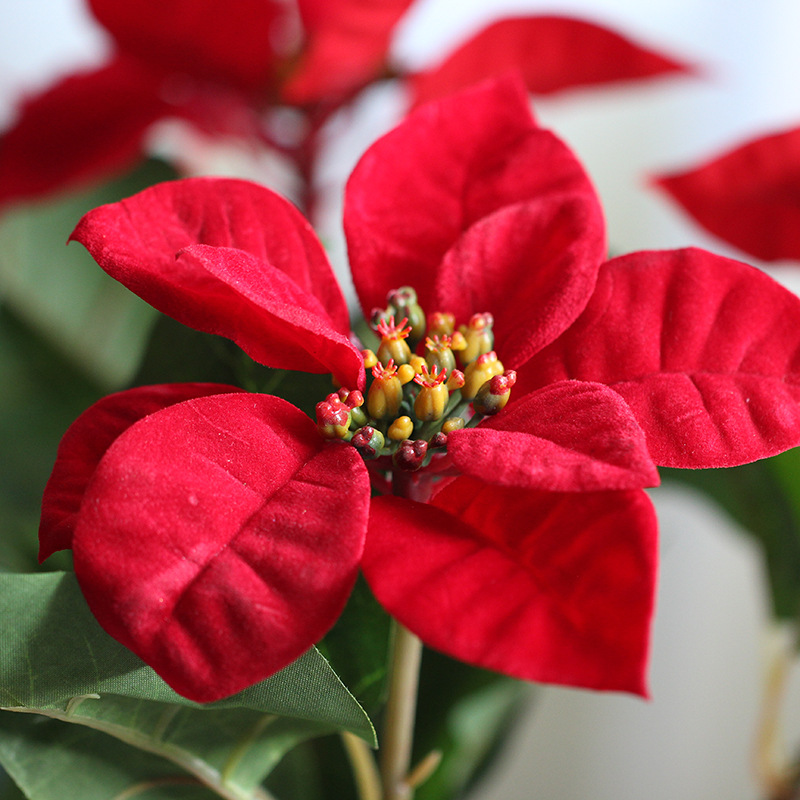 仿真圣诞花批发节日庆典布景装饰仿真植物  圣诞花 仿真一品红