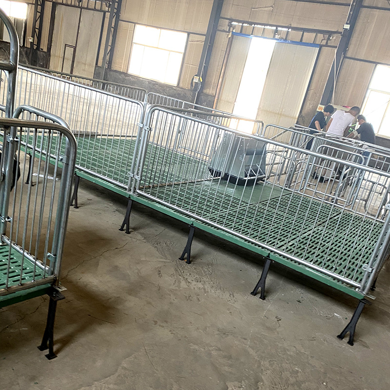 厂家现货 全复合漏粪板仔猪保育床 加厚单体双体保育床猪分娩床