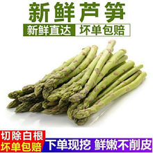 包邮新鲜芦笋蔬菜现采现发农家自种斤青菜饭店酒店菜市摆地摊家用