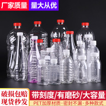 食品级塑料瓶带盖pet空瓶子透明塑料1升2两1斤2斤装酒瓶空瓶500ml