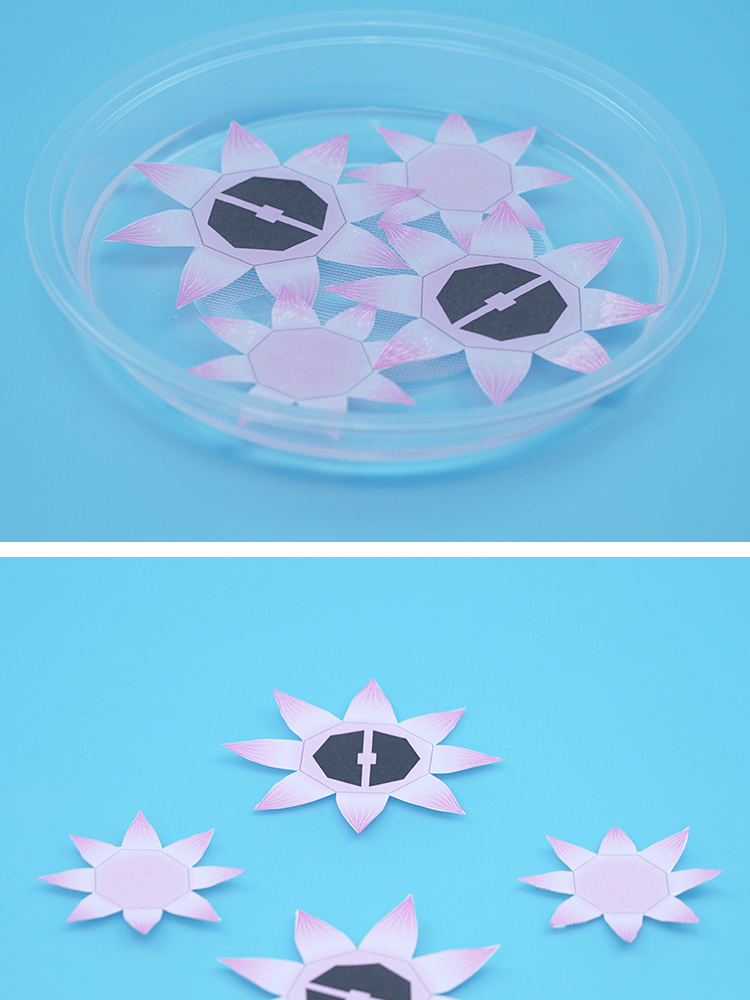 儿童diy科学实验水中绽放的纸花物理教具幼儿园科技小制作玩具