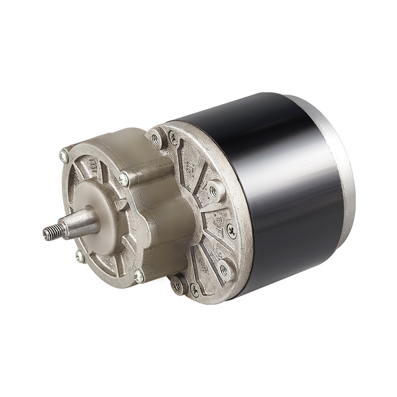 小型48v直流减速电机 zyt102微型同步直流电机 永磁直流电机定做