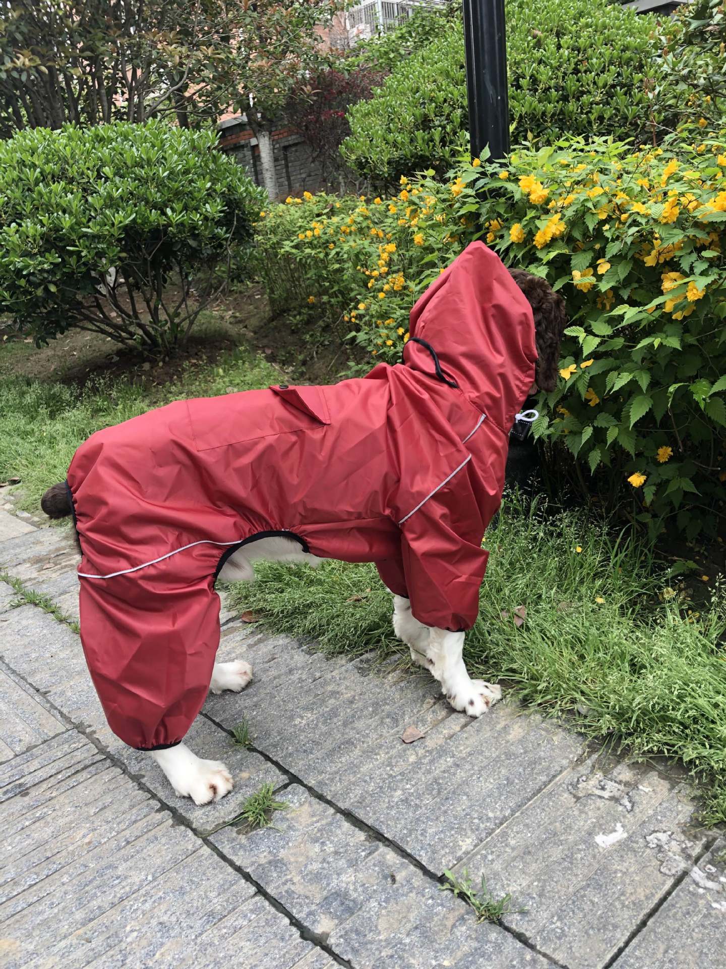 21厂家直销大狗连体雨衣透气反光红色四脚宠物雨披7码16-80斤大犬