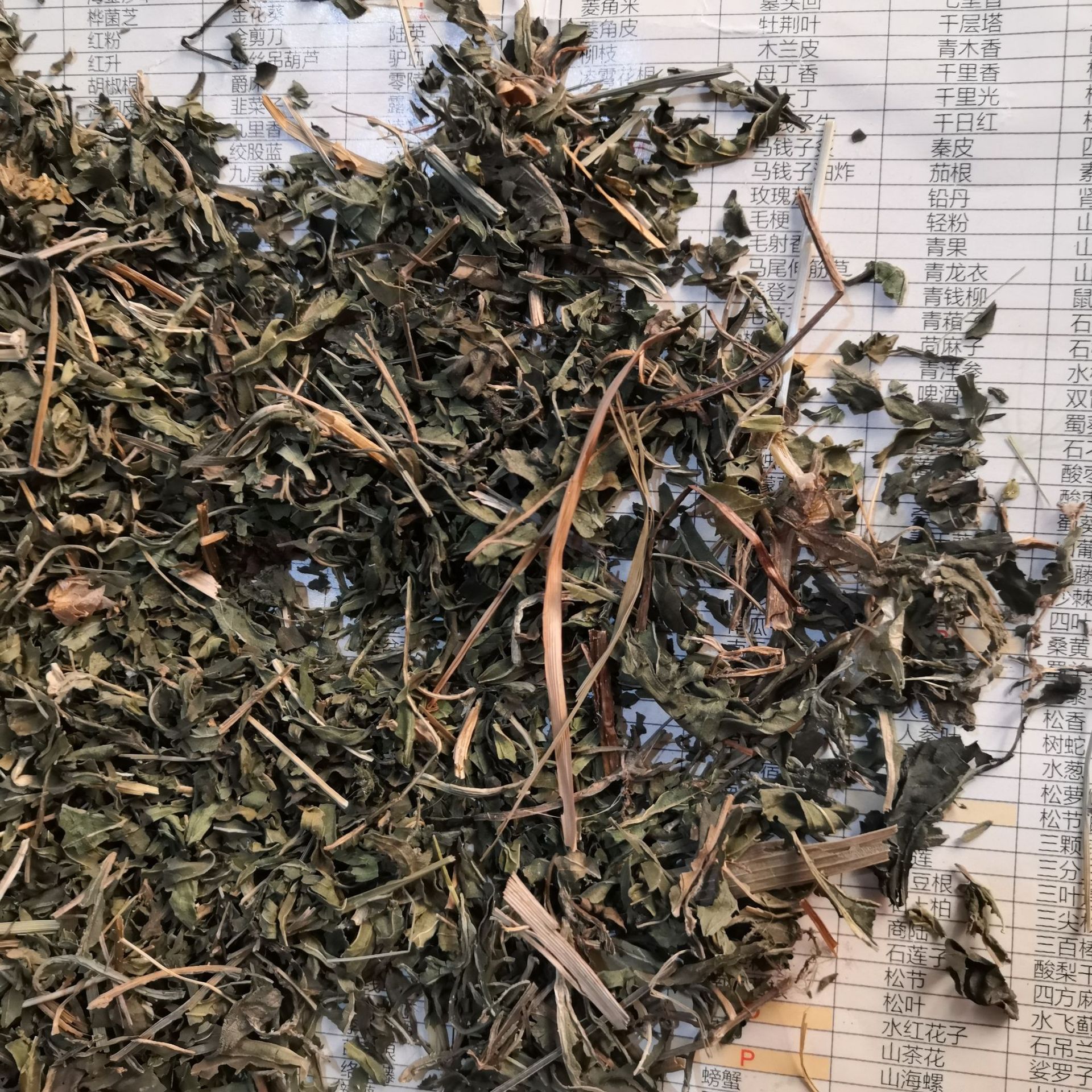 批发荨麻 红活麻 中药材 荨麻 荨麻草 荨麻叶 实物拍摄