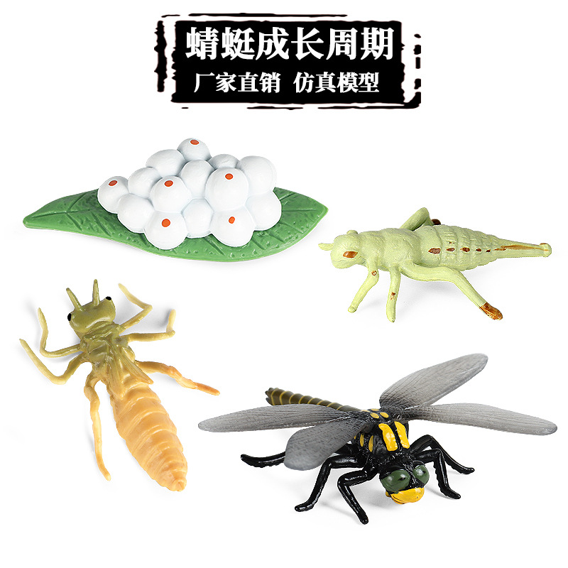 儿童科教玩具仿真动物成长周期昆虫模型蜻蜓蝴蝶公鸡蜜蜂蜗牛蚱蜢