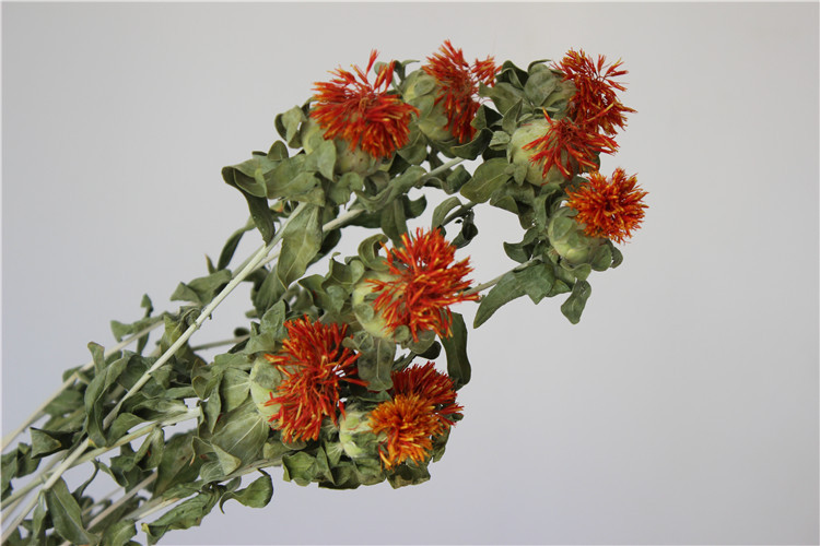 橙菠萝干花菠萝花云南森系自然干花花店家居装饰插花材花万家