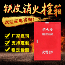 铁皮消火栓箱 消防全套消火栓箱灭火器 室内铝合金消火栓箱现货