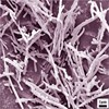 Nanometer alumina whisker ceramics Material Science Strengthen 50nm/20um Long diameter alumina Nanowires