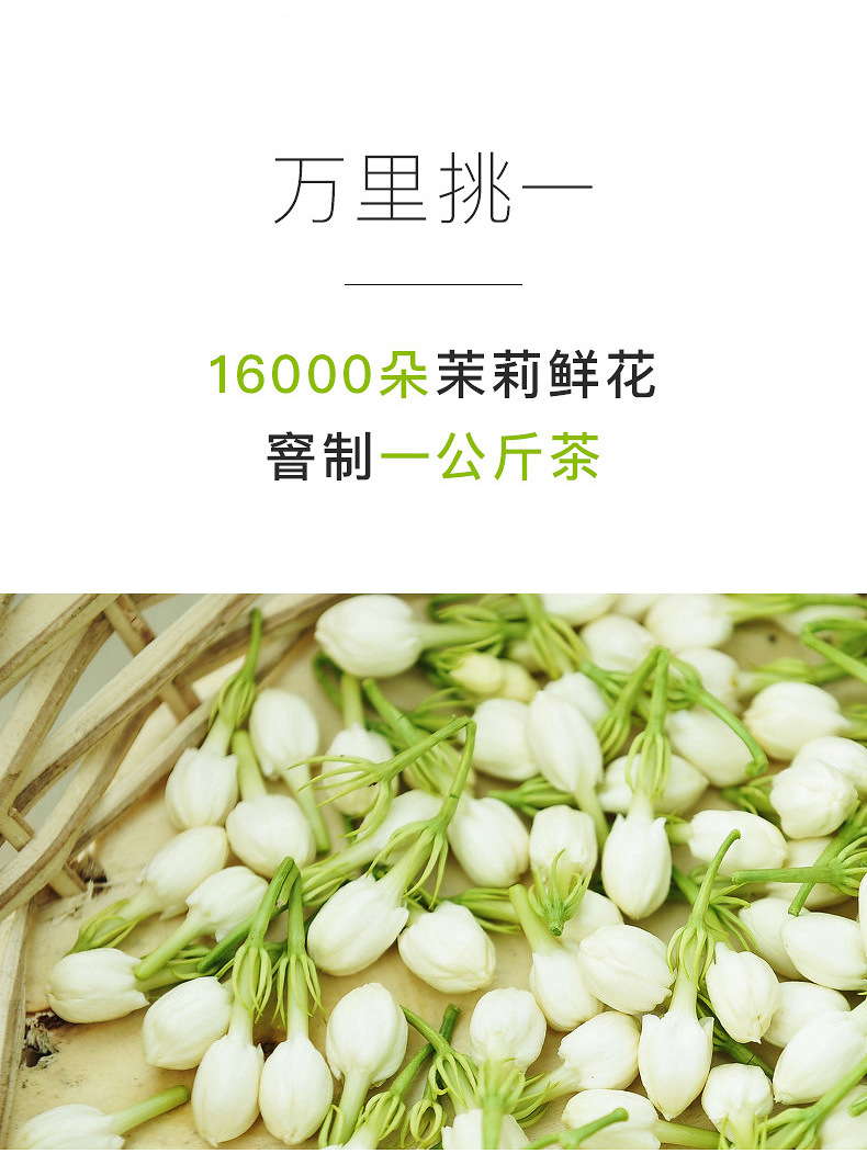 开古月光茉莉花茶50g双片一次性茶包25包酒店饭店宾馆袋泡茶