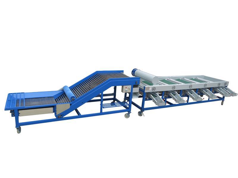 大蒜分级机 果蔬分级机独头蒜分选机质量优价格低