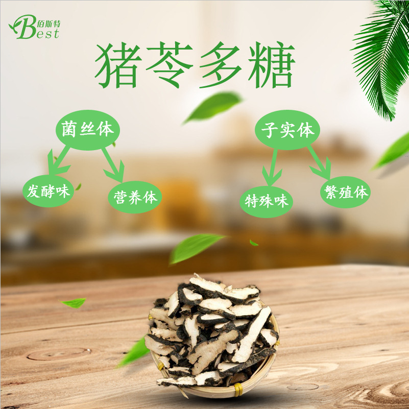 【免费拿样】猪苓多糖50% 猪茯苓提取物 源头工厂 植物提取包邮