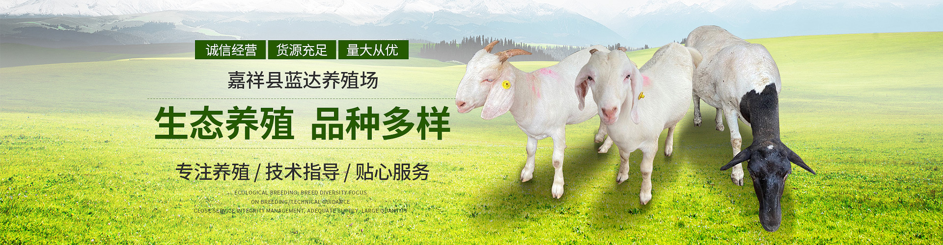 蓝达养殖场轮播02