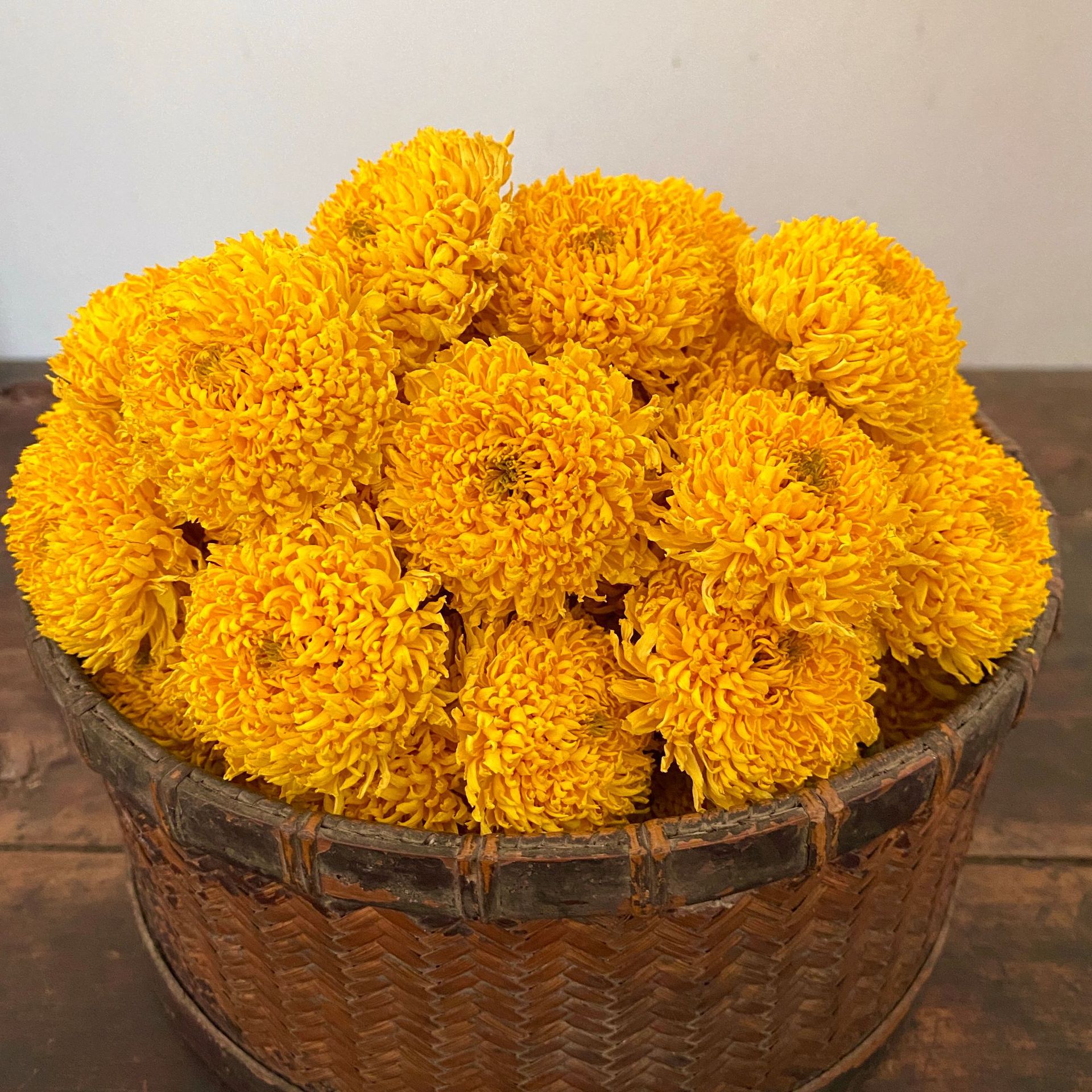 【正宗皇菊】-正宗皇菊厂家,品牌,图片,热帖-阿里巴巴