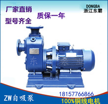 BZ直连自吸泵卧式管道离心泵大流量高扬程抽水泵三相循环清水泵