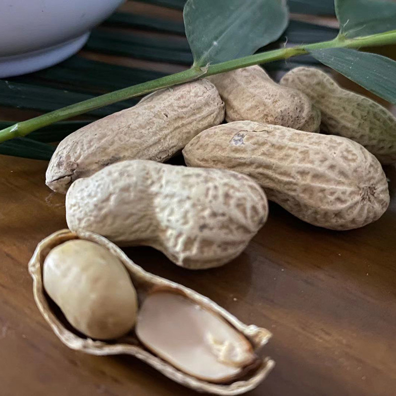 15后发货】水煮花生500g咸干盐水晒干蒜香味五香味带壳