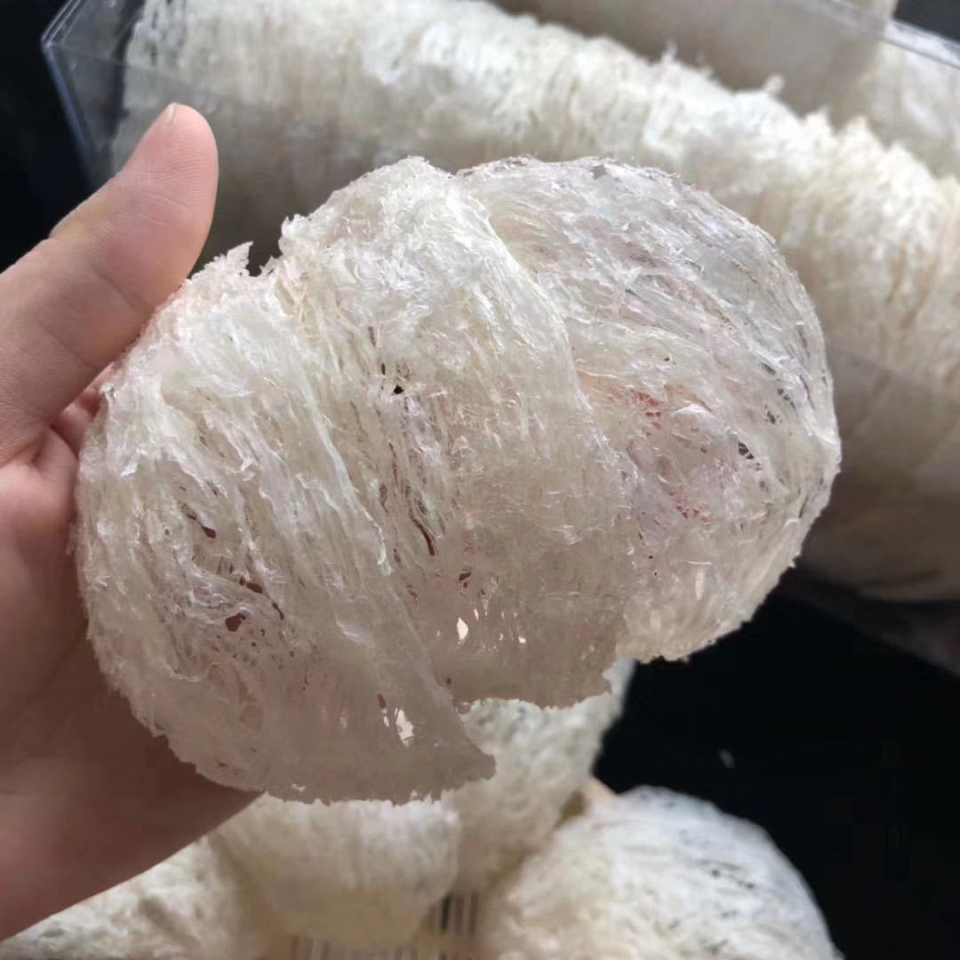 印尼燕盏燕窝批发马来西亚6a大疏盏正品燕窝精选无底疏盏免挑毛