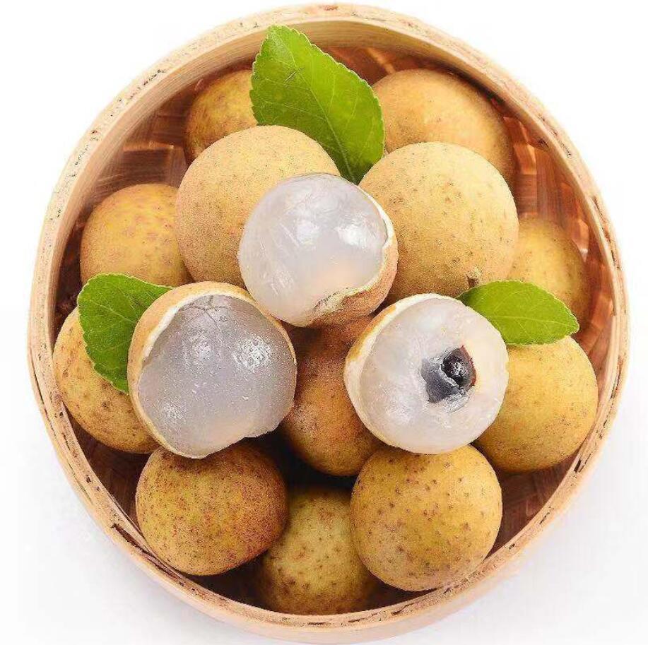 带箱5斤包邮新鲜龙眼鲜桂圆当季整箱现摘孕妇水大果批发现货