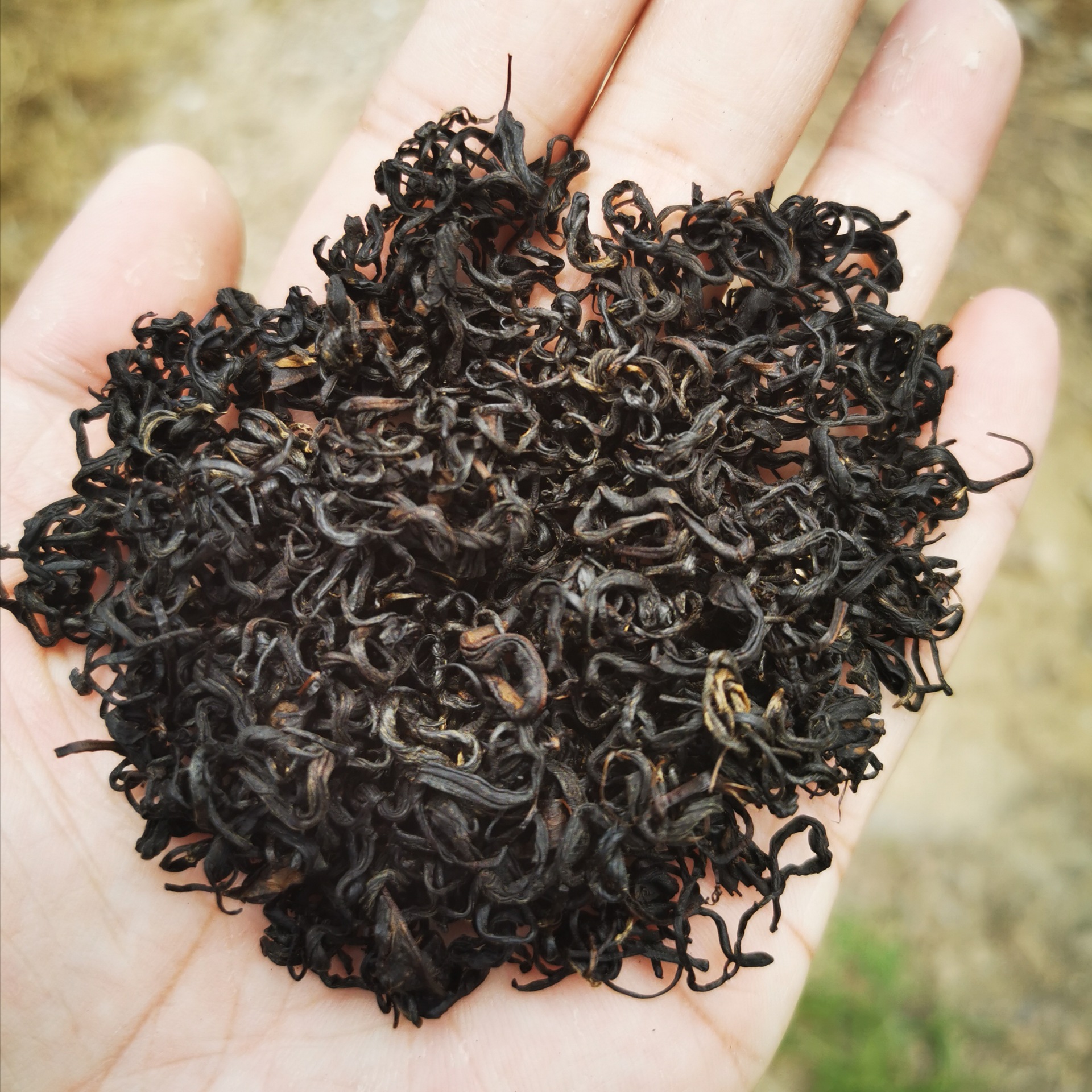 2020年英山红茶包邮产地工厂低价批发口感好手采鲜叶乌山春牌新茶