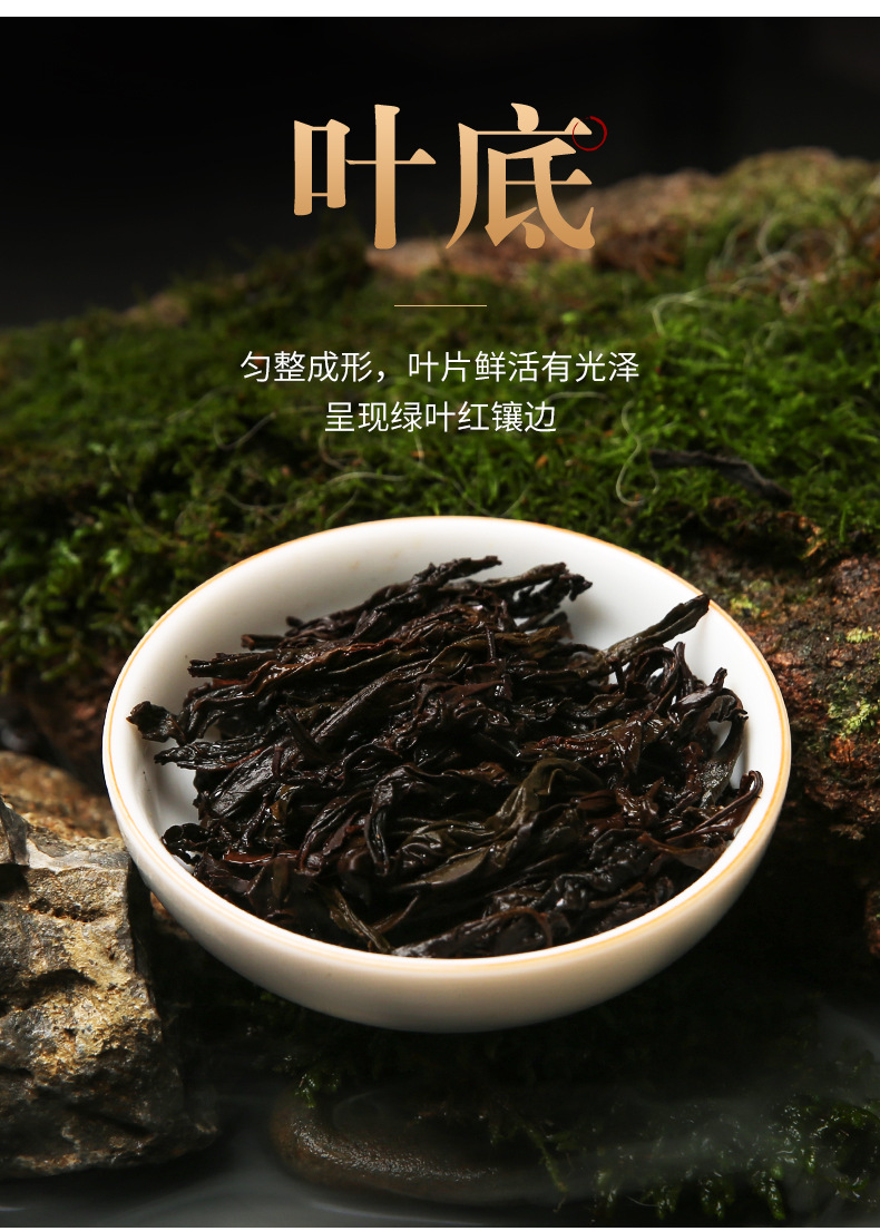 九龙窠肉桂茶叶散装武夷山岩茶厂家批发正岩肉桂大红袍炭焙乌龙茶