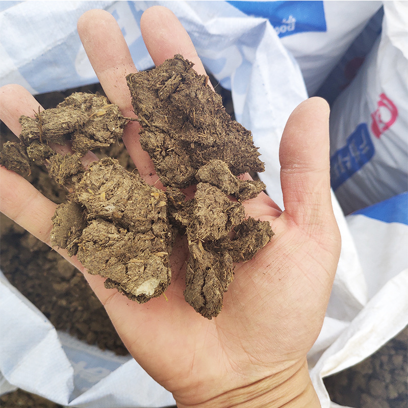 干牛粪批发 奶牛养殖场批发牛粪 晒干牛粪 菌菇肥牛粪