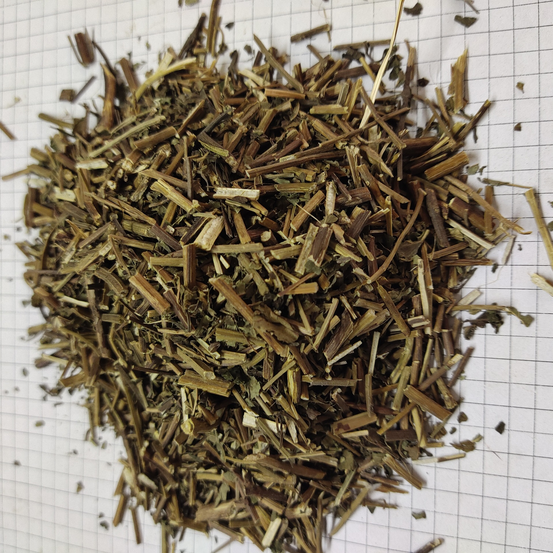 冬凌草donglingcao产地山西省运城8月产新13元每公斤包邮雪花草