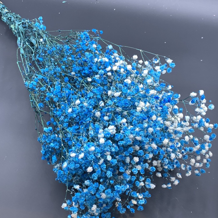 厂家花农满天星永生满天星插花花艺家居装饰婚庆节日送礼