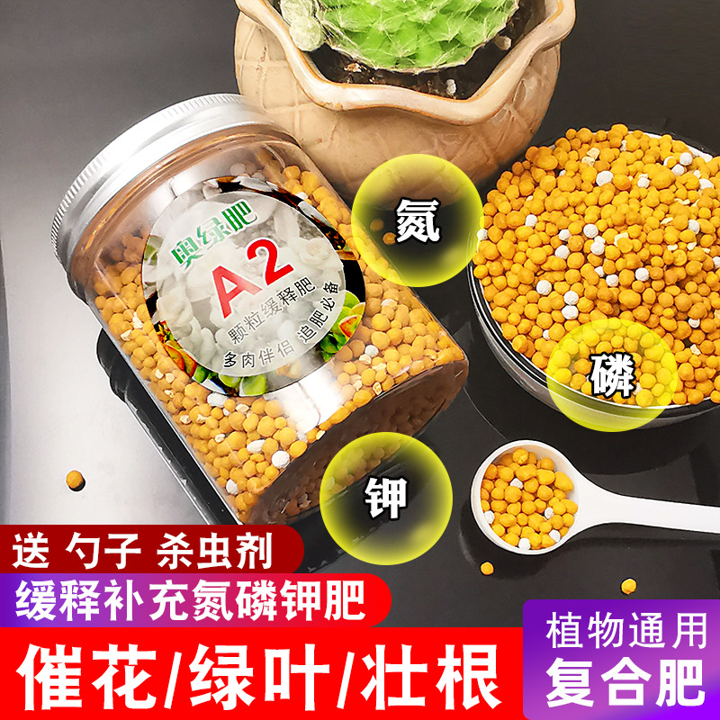 花多多12号多肉专用营养液生根肉嘟嘟高钾矮胖素通用型即喷水溶肥