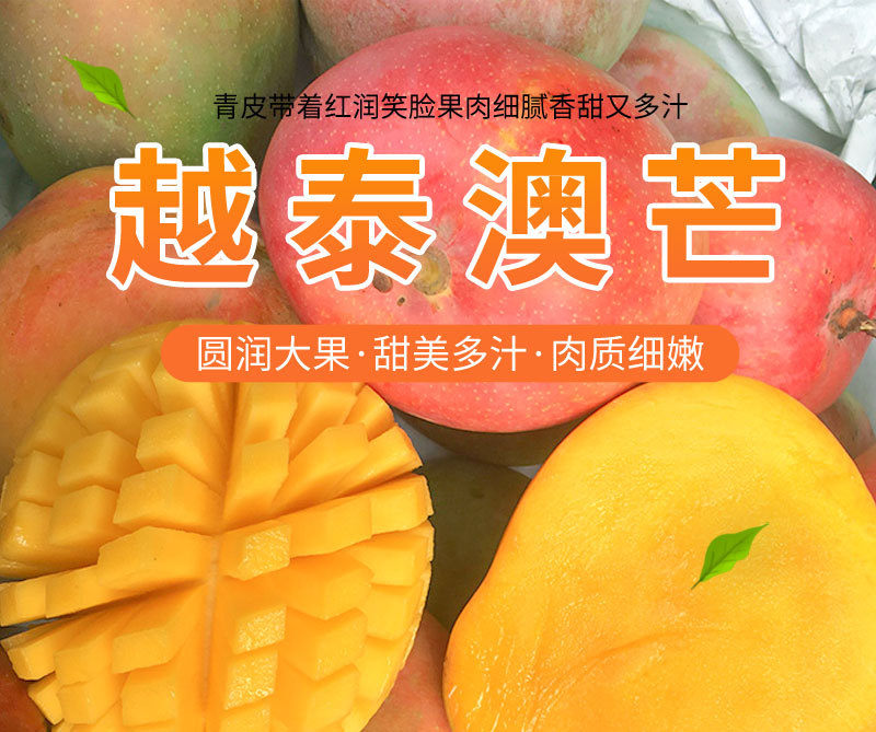 新鲜水果越南澳芒5斤10斤套袋黄皮芒果热带鲜果非贵妃