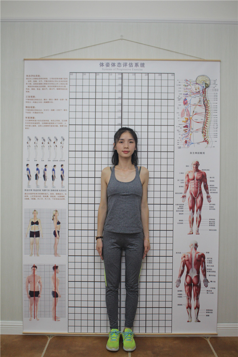 身体评估网格体姿图定制简约体测表人体姿势分析墙纸体位测量体态