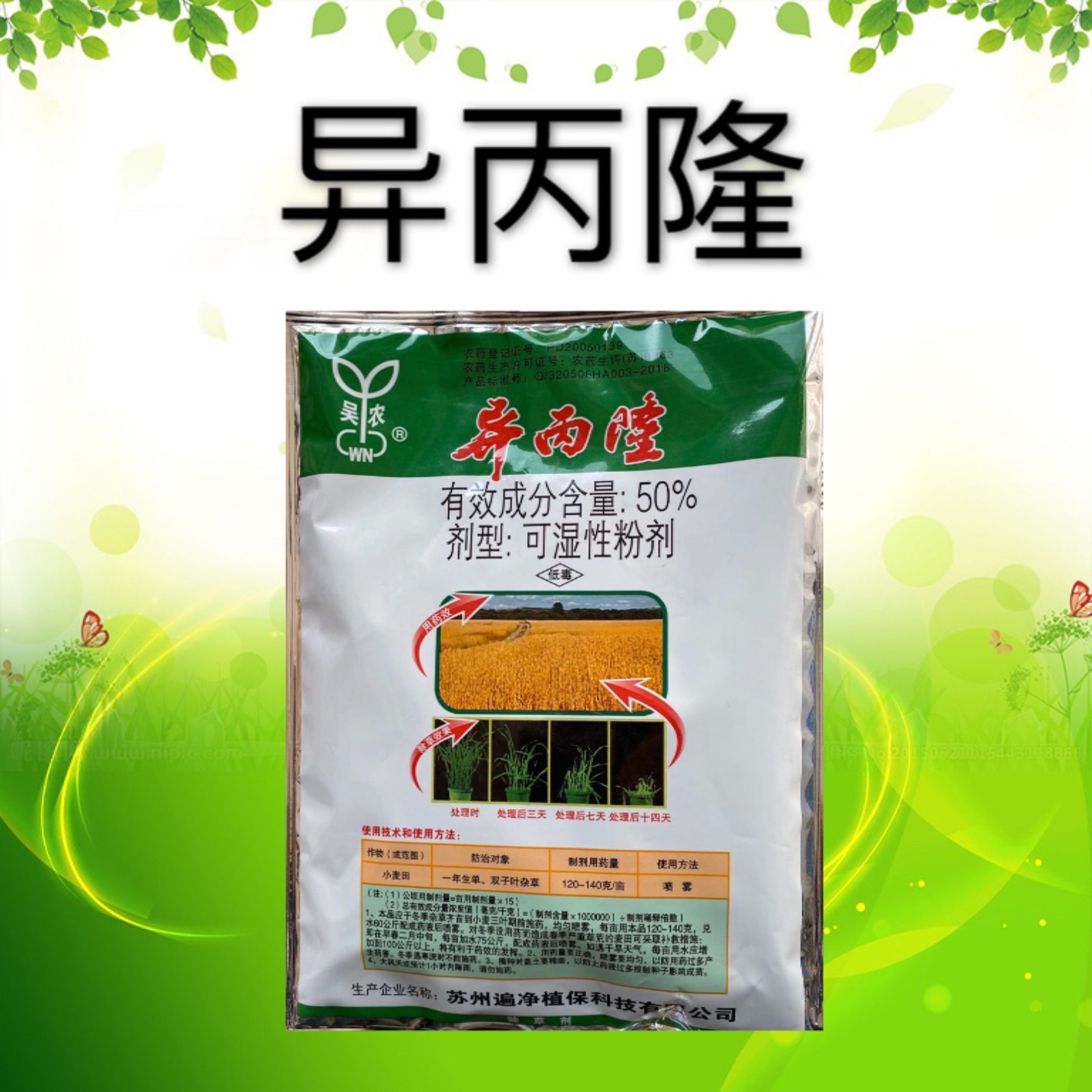 异丙隆麦田禾本科杂草硬草罔草看麦娘日本看麦娘封闭茎叶处理